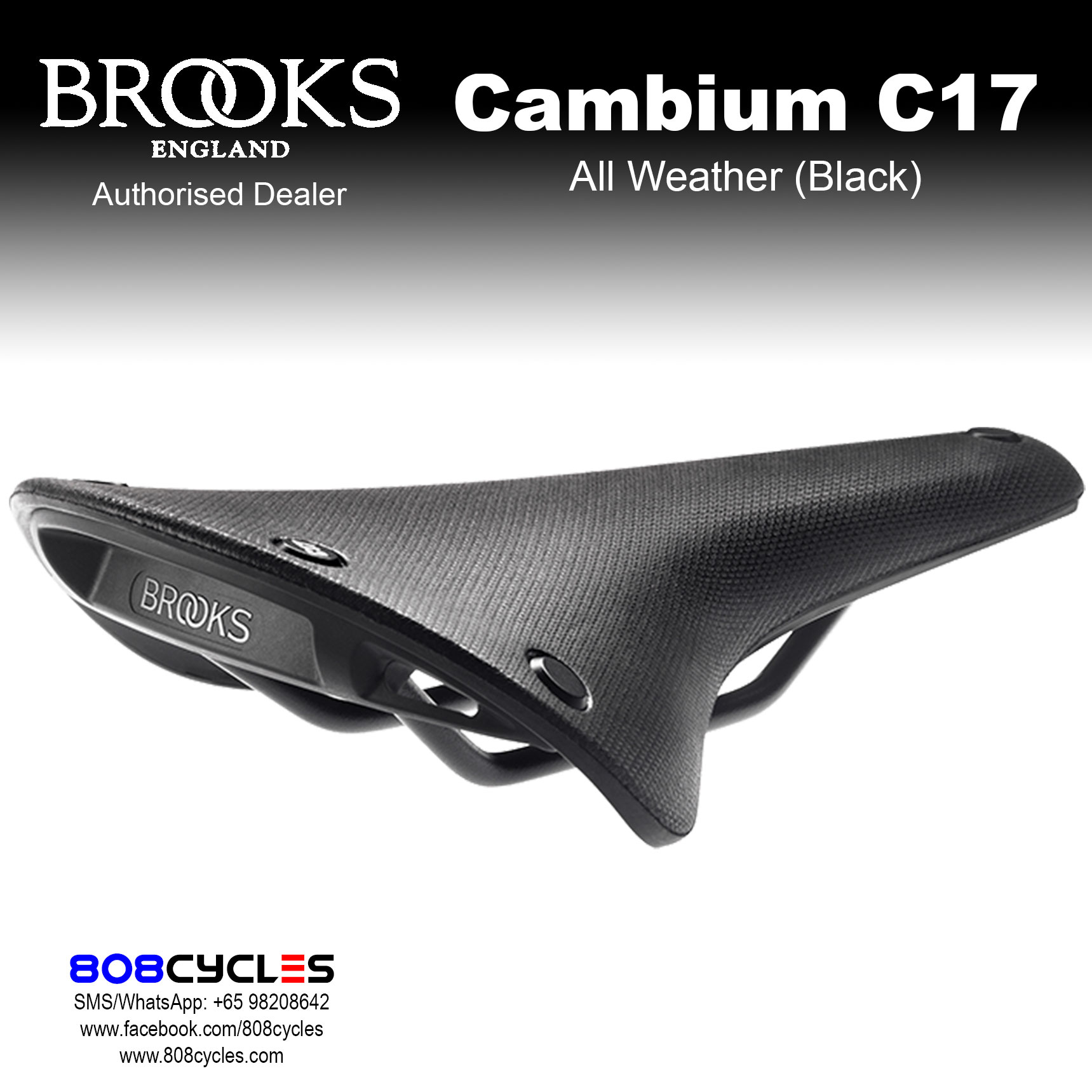 Brooks Cambium C17 All Weather - Image 2