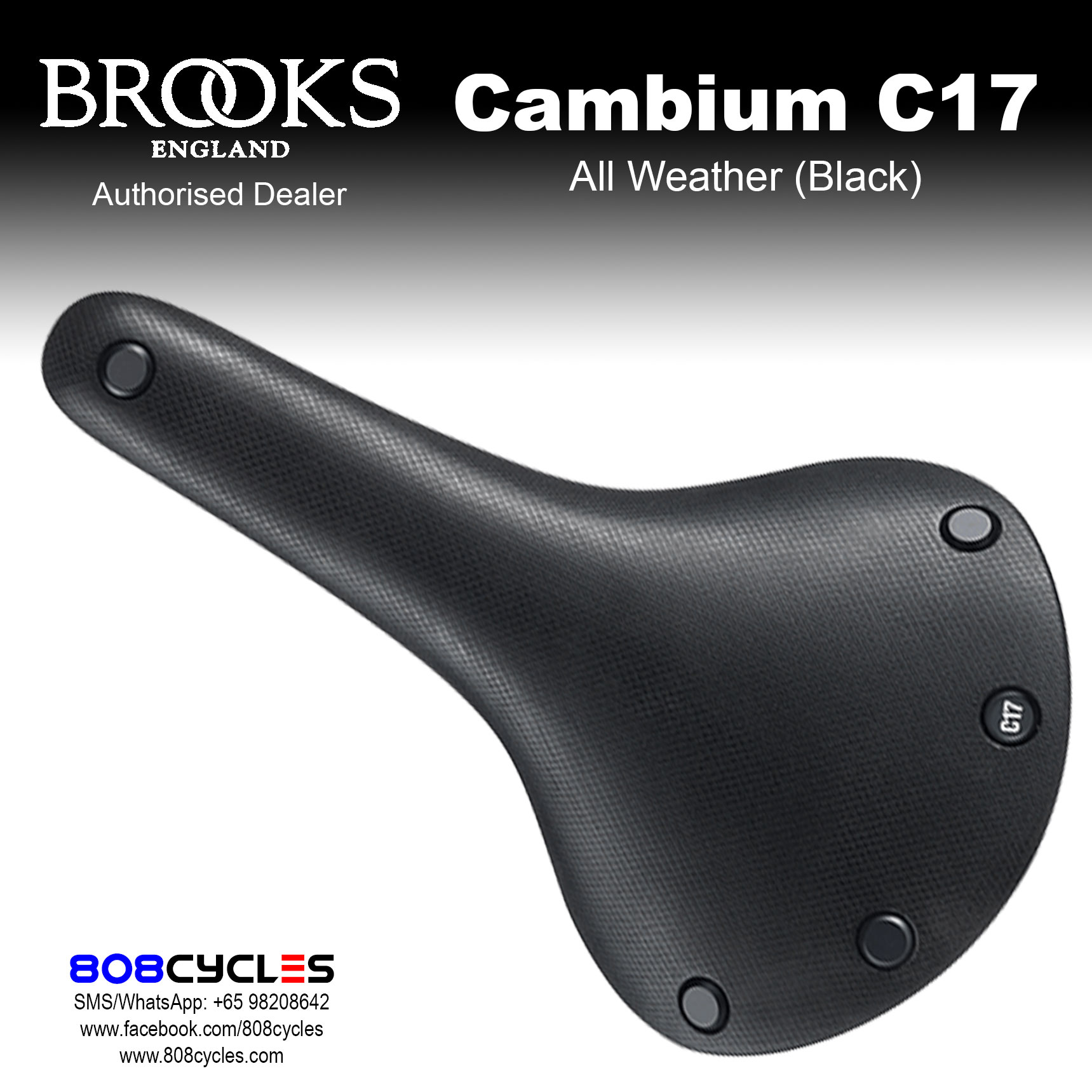 Brooks Cambium C17 All Weather - Image 3