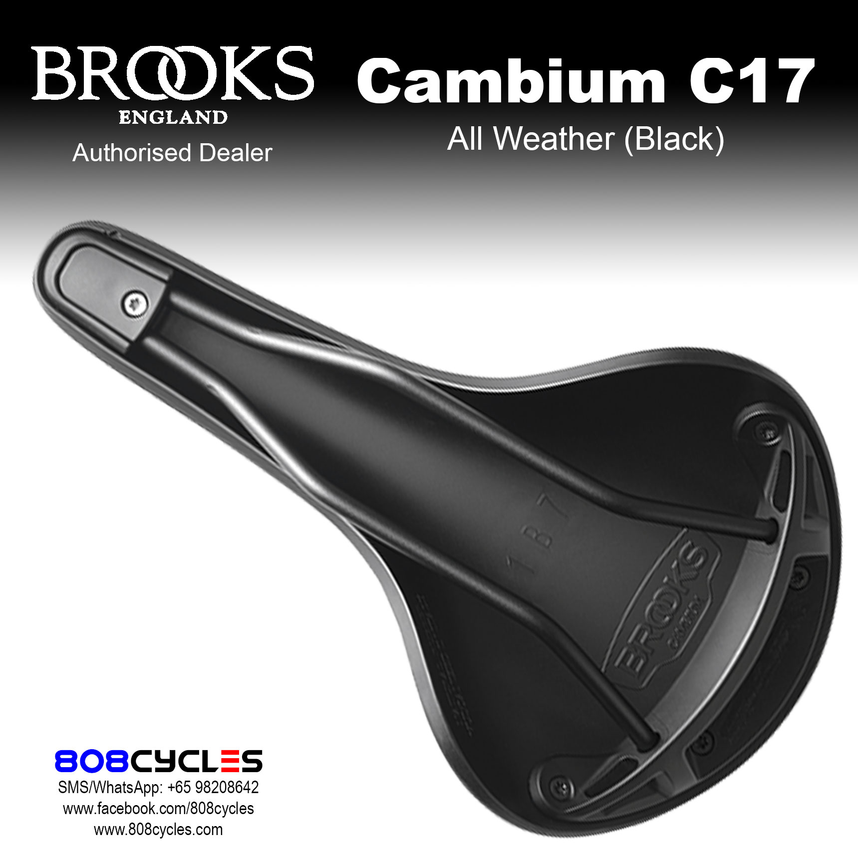Brooks Cambium C17 All Weather - Image 4