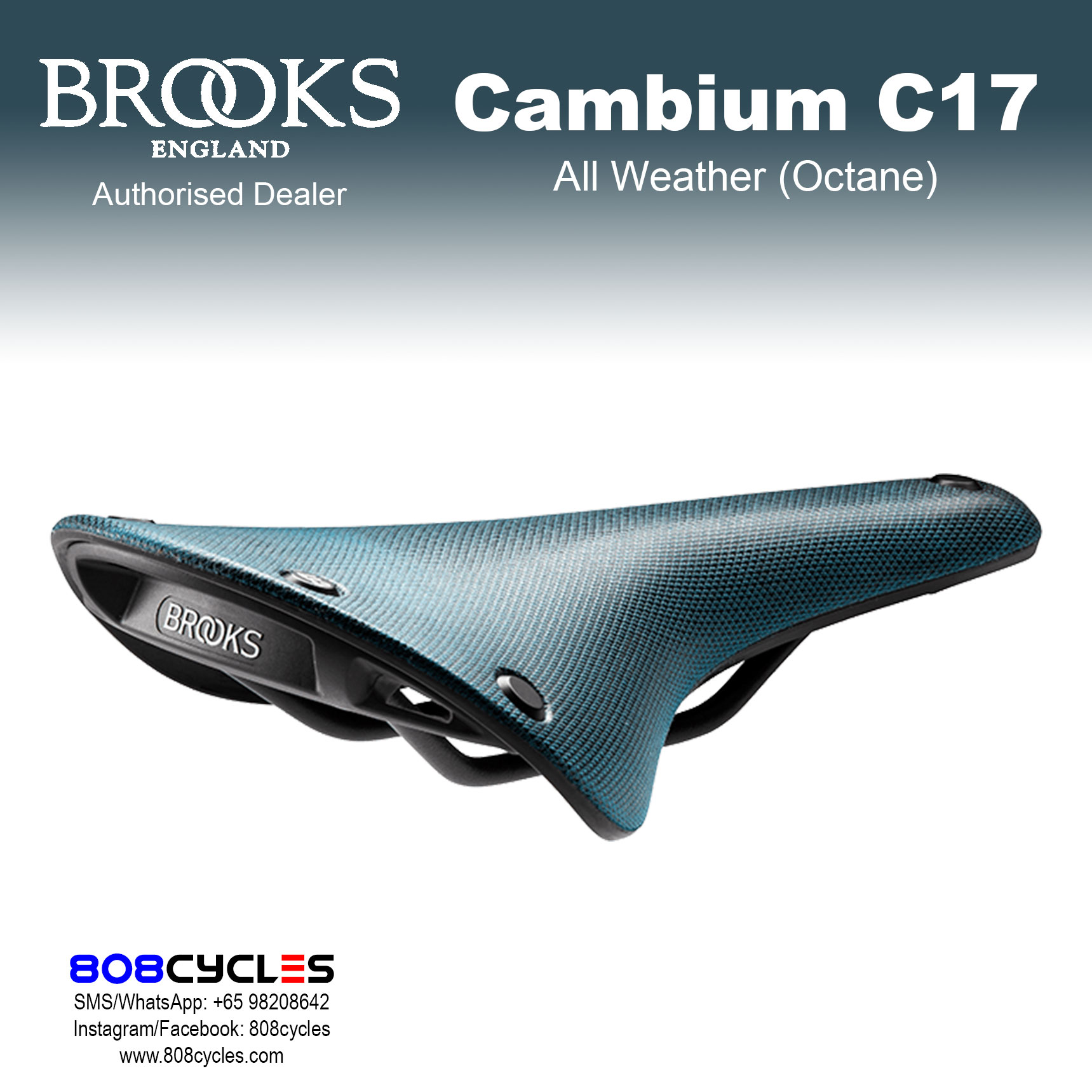 Brooks Cambium C17 All Weather - Image 5