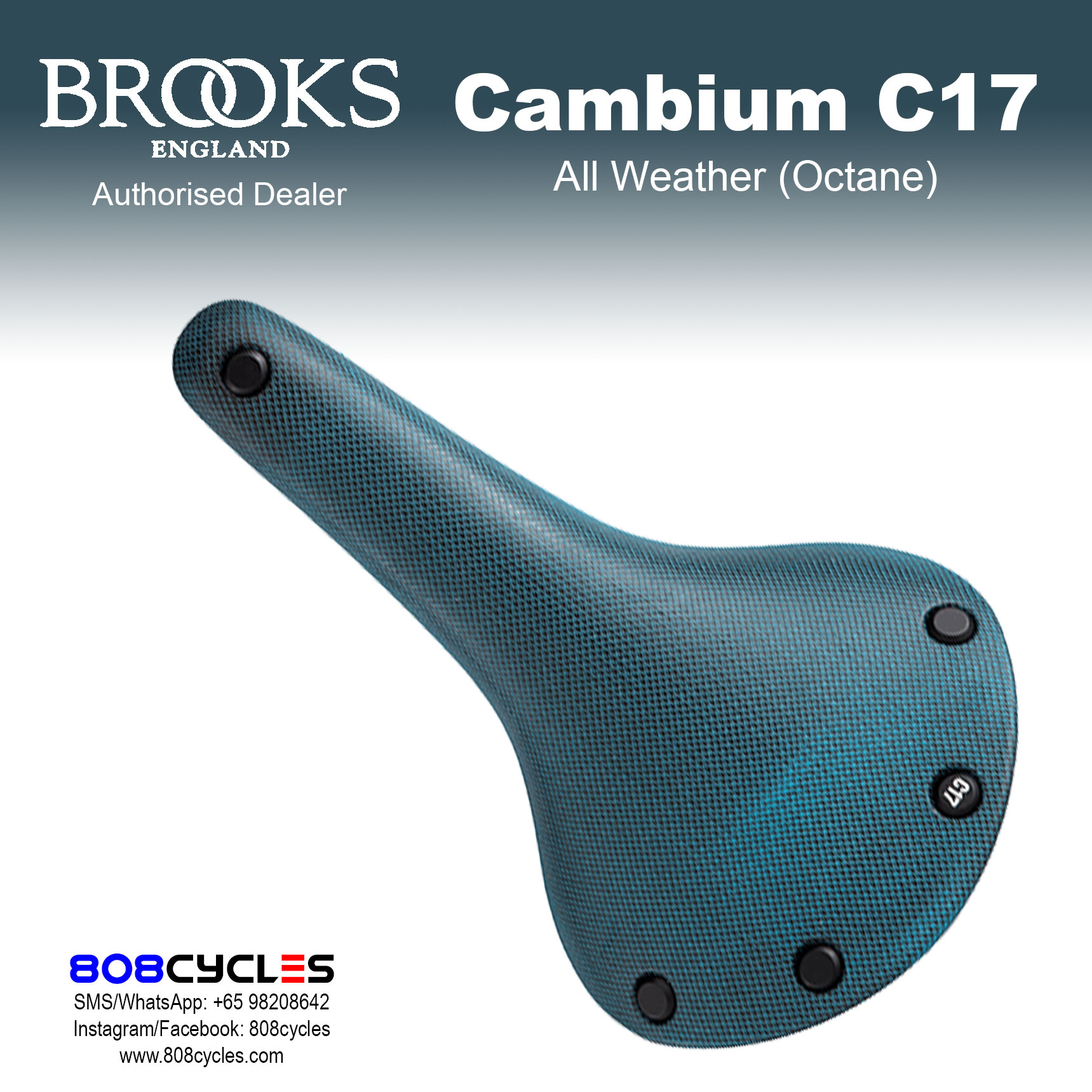 Brooks Cambium C17 All Weather - Image 6