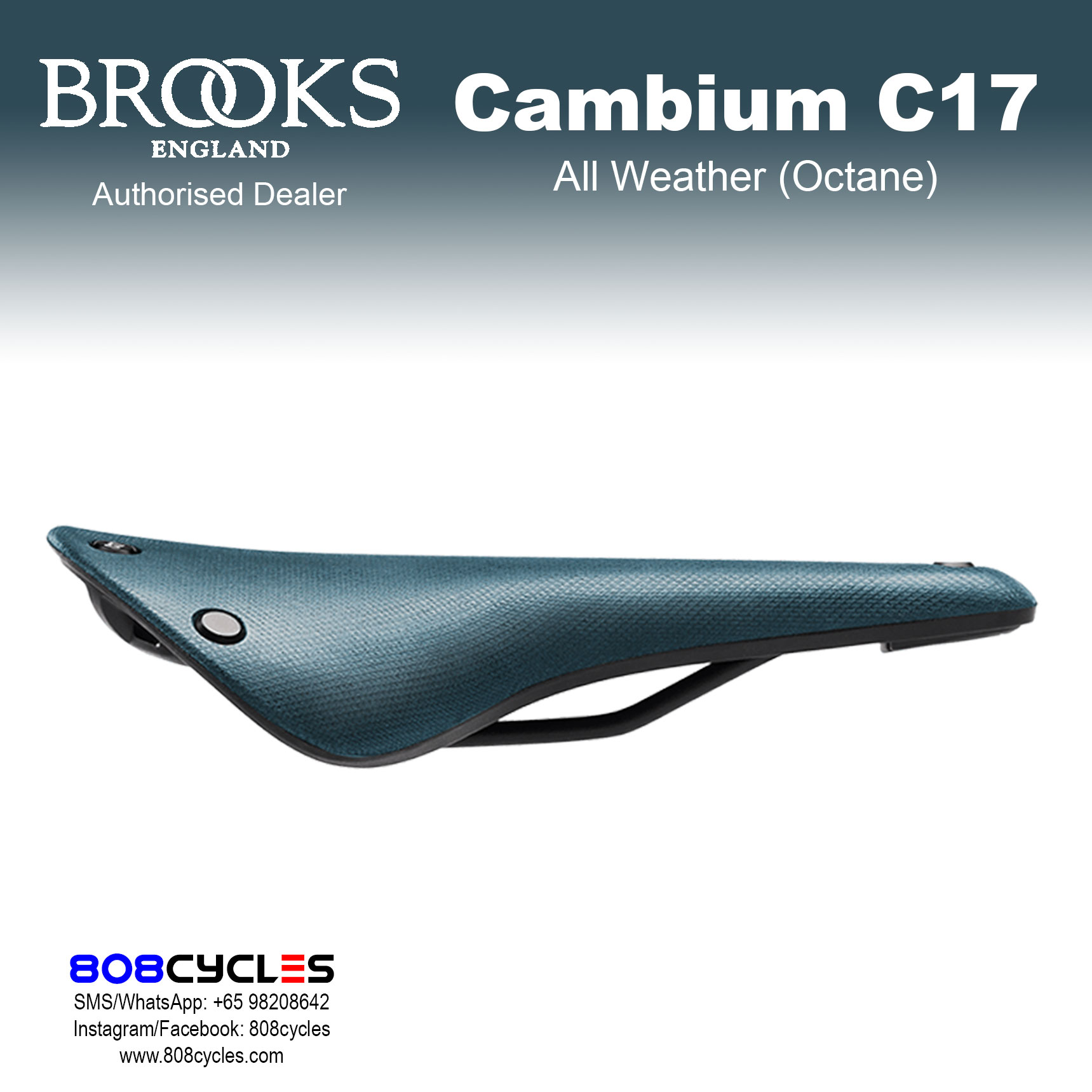 Brooks Cambium C17 All Weather - Image 7