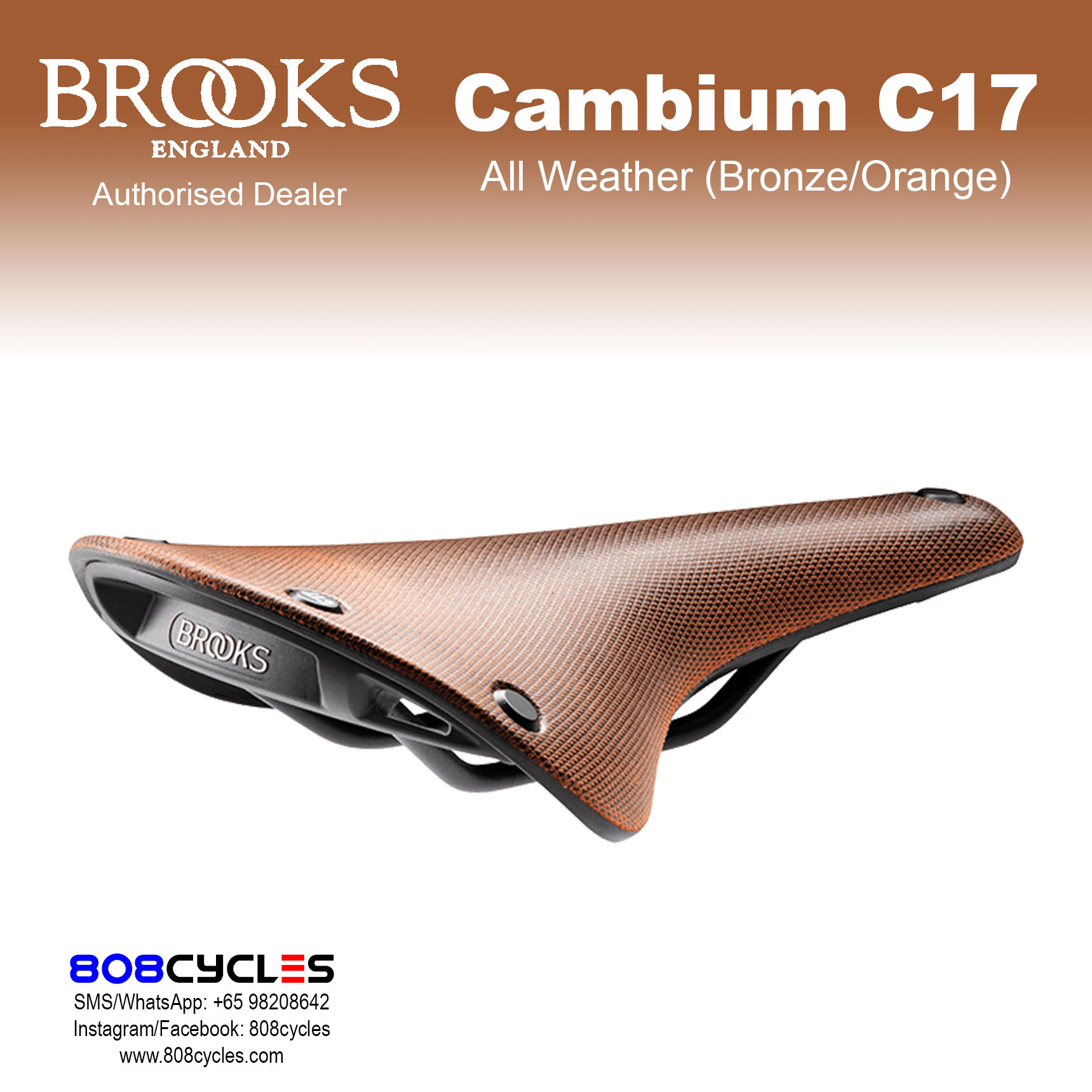 Brooks Cambium C17 All Weather - Image 8