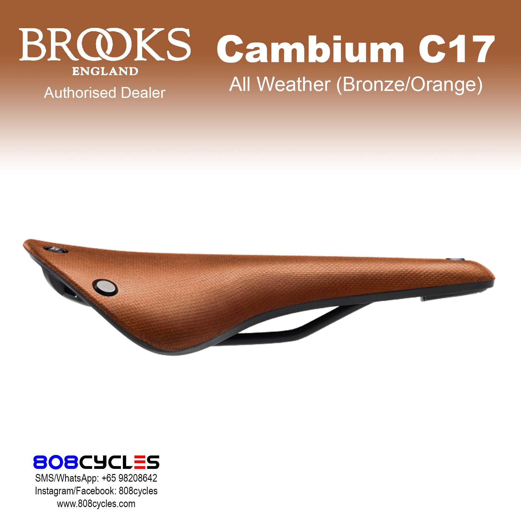 Brooks Cambium C17 All Weather - Image 9