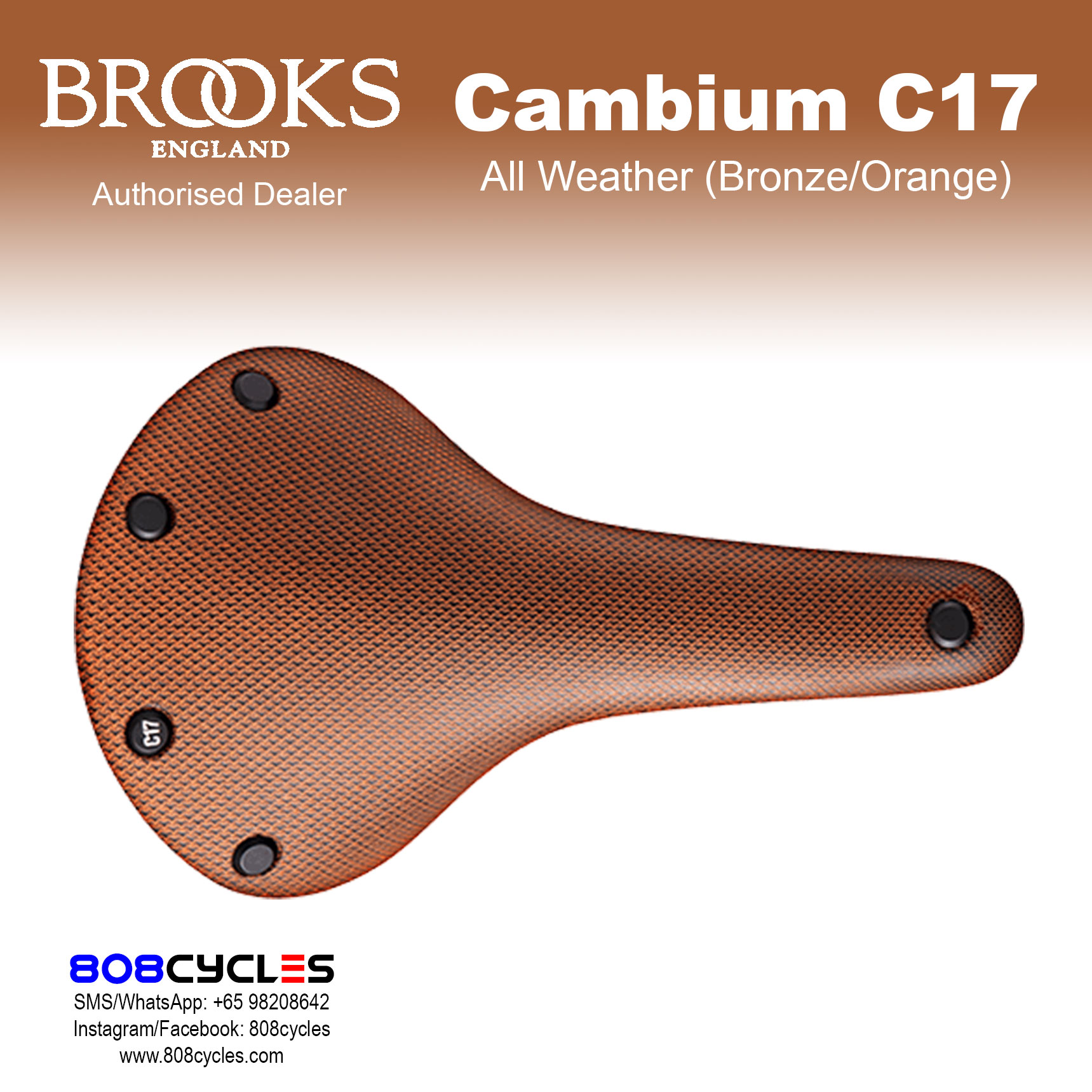 Brooks Cambium C17 All Weather - Image 10