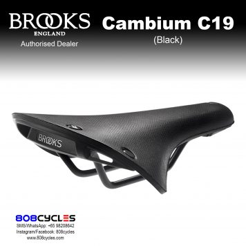Brooks Cambium C19 All Weather