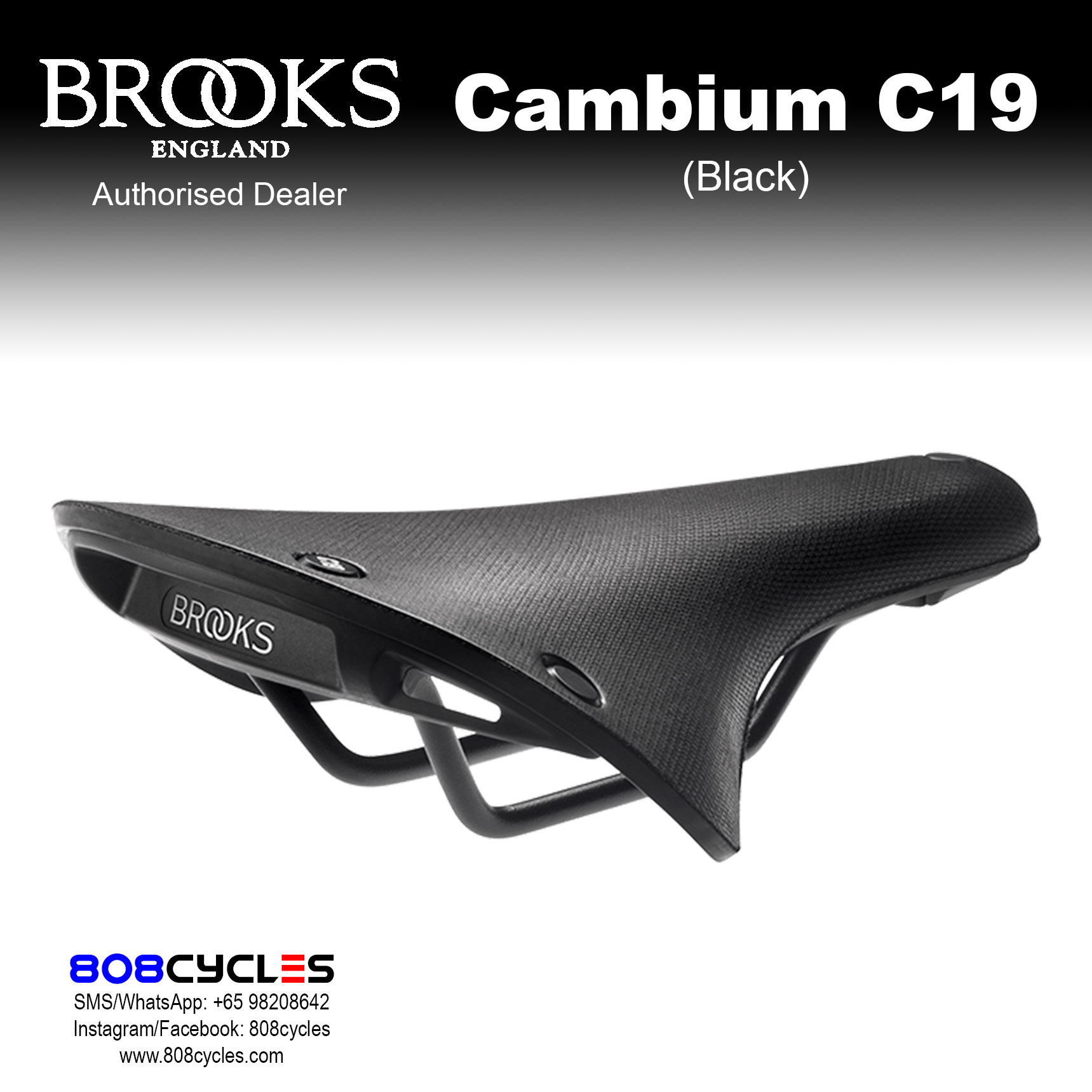 Brooks Cambium C19 All Weather