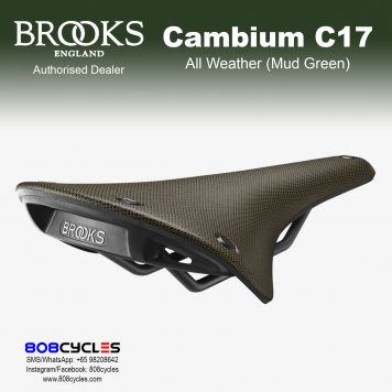 Brooks Cambium C17 All Weather