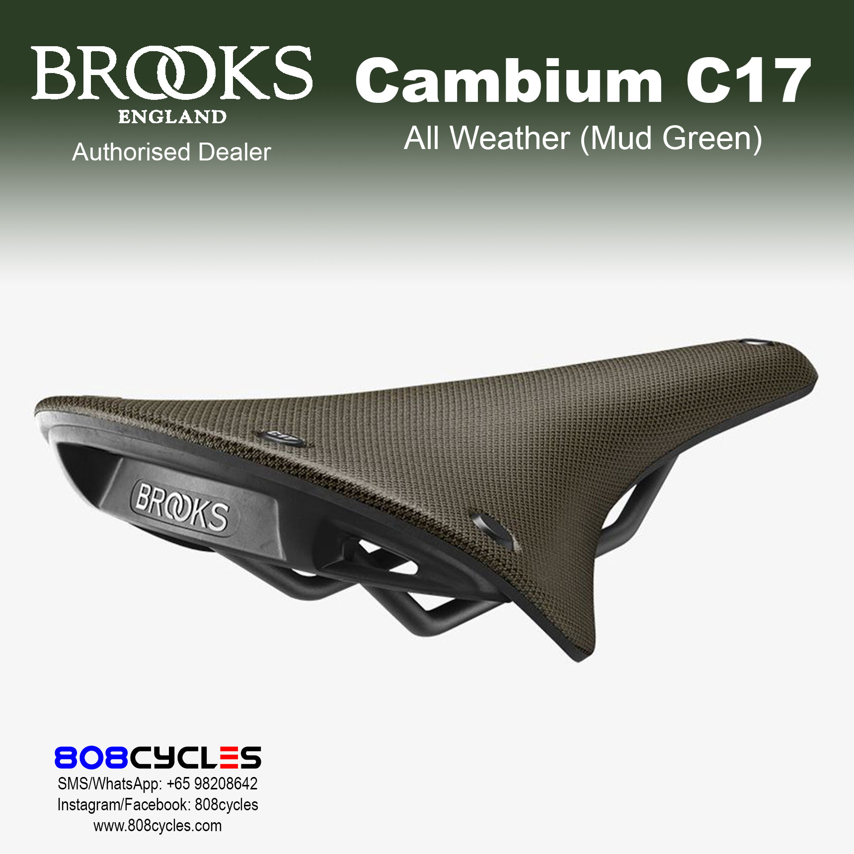 Brooks Cambium C17 All Weather