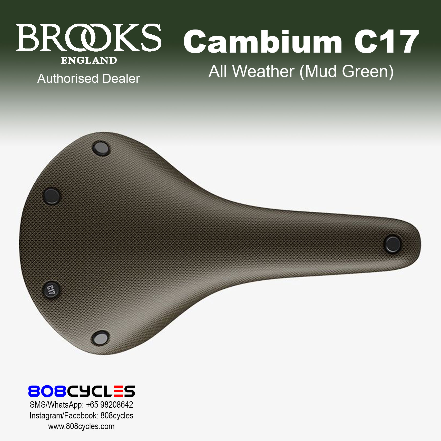 Brooks Cambium C17 All Weather - Image 12