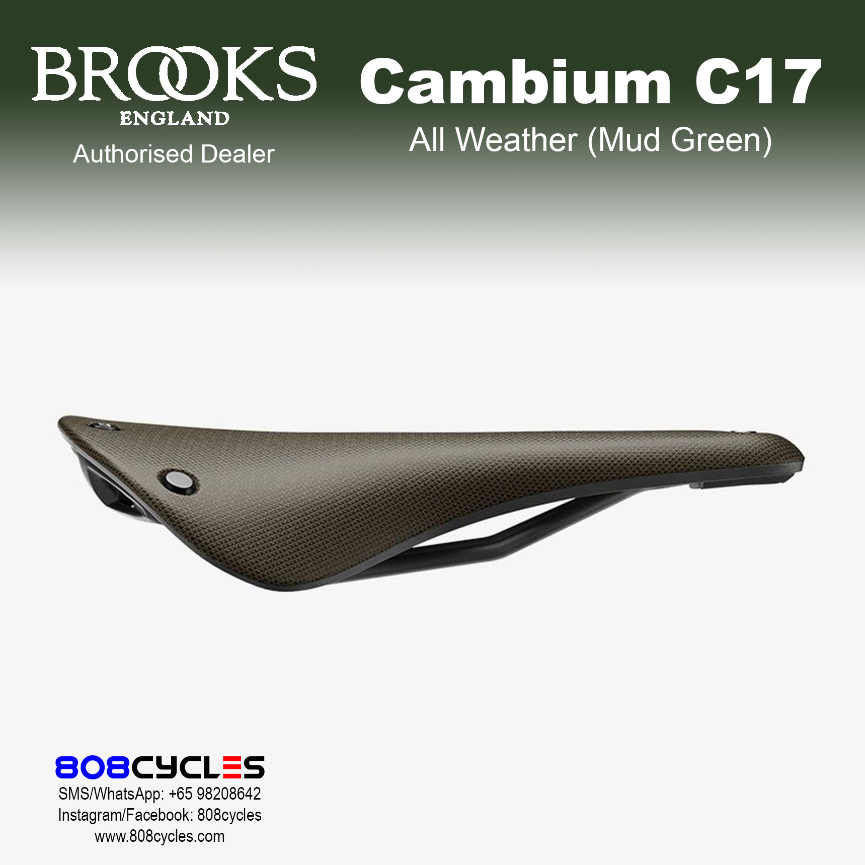 Brooks Cambium C17 All Weather - Image 13