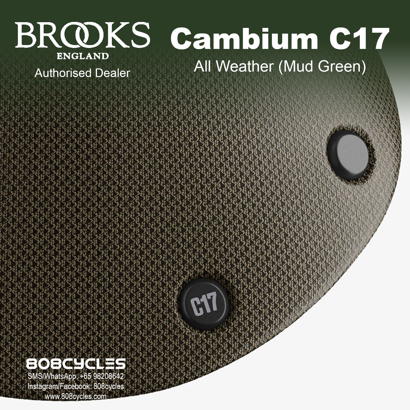 Brooks Cambium C17 All Weather - Image 14
