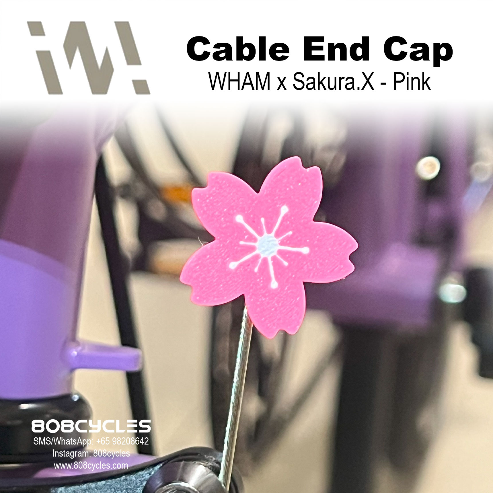 WhamDesign Cable End Cap - WHAM x SAKURA.X - Pink