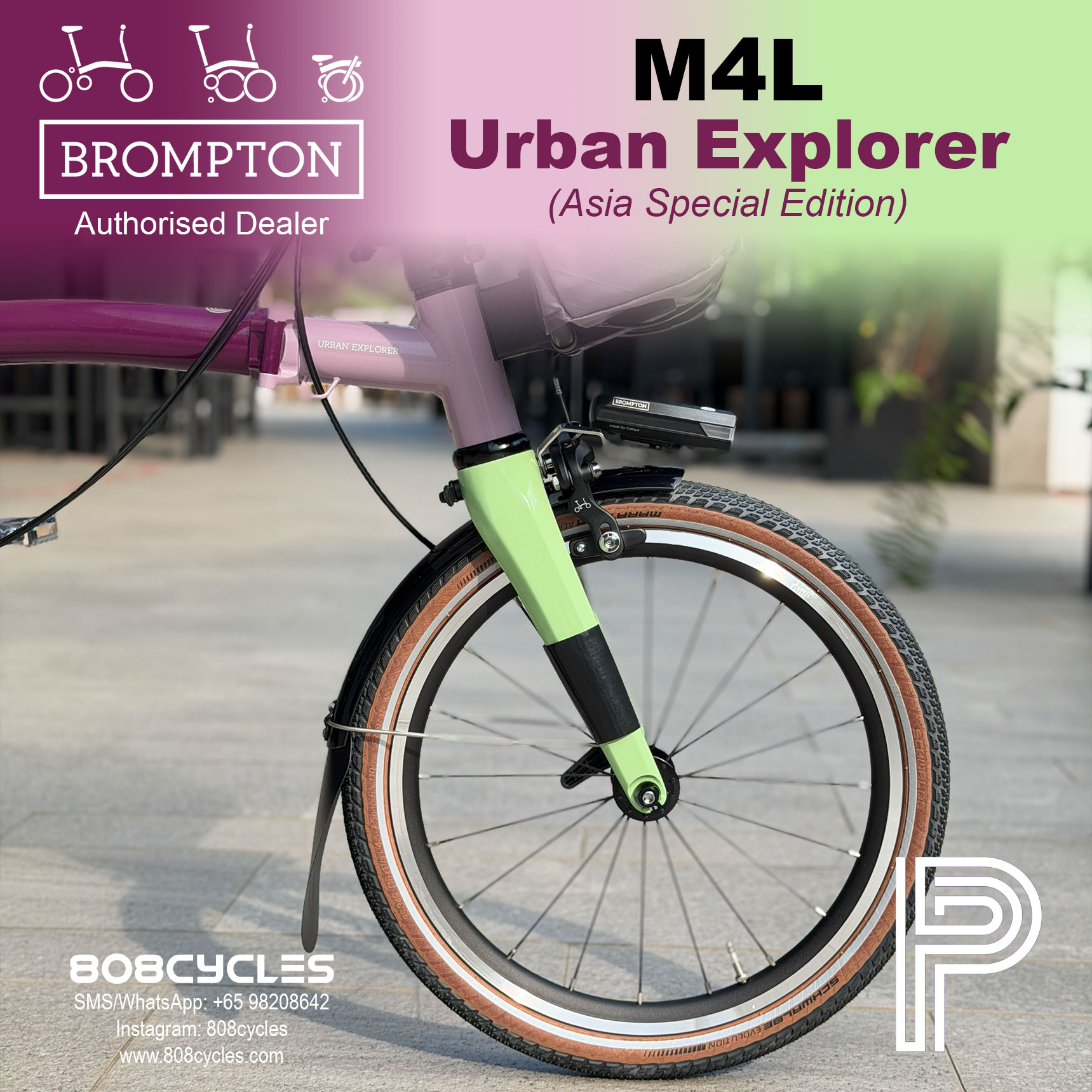 Brompton P Line Mk2 Urban Explorer M4L – Asia Special Edition - Image 6