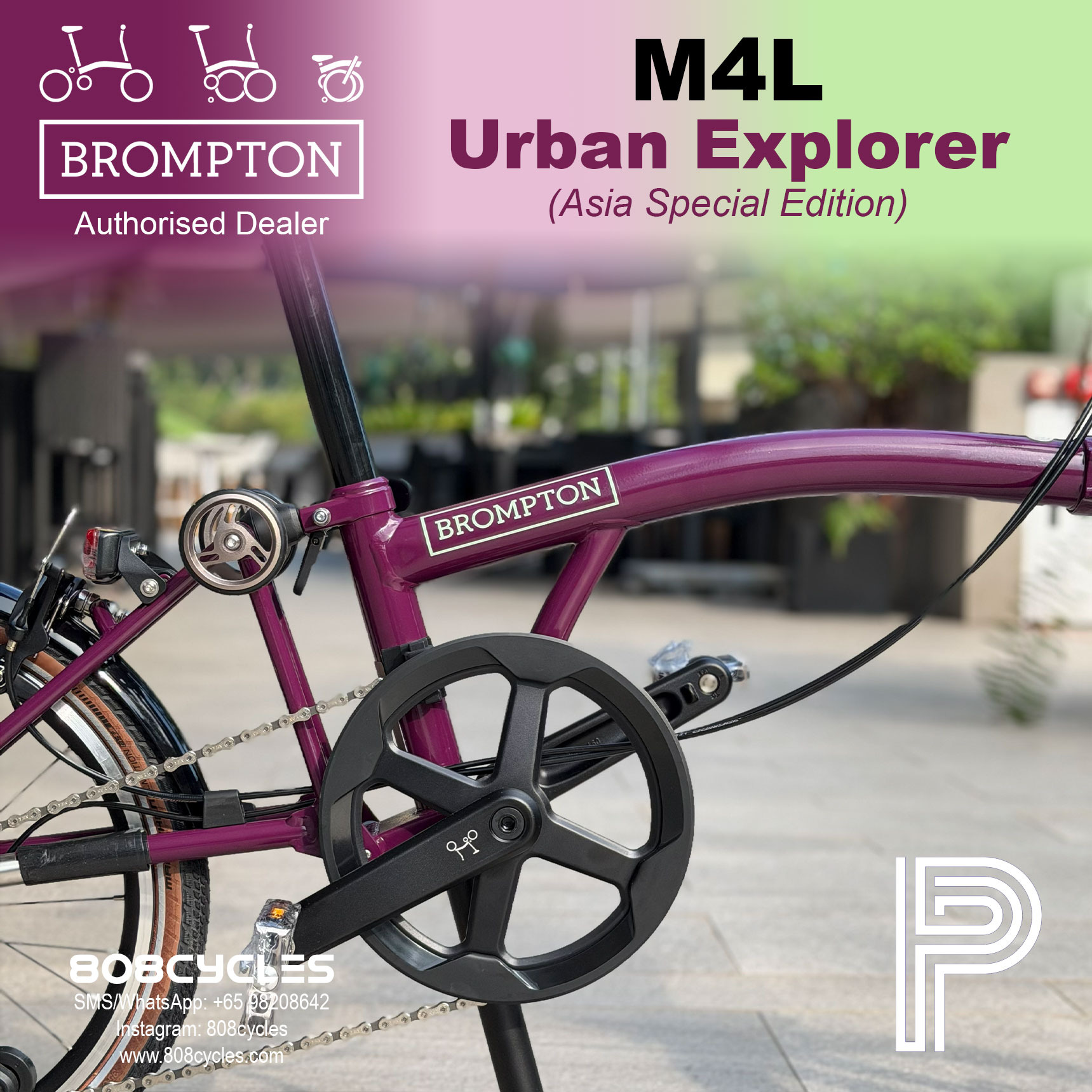 Brompton P Line Mk2 Urban Explorer M4L – Asia Special Edition - Image 7