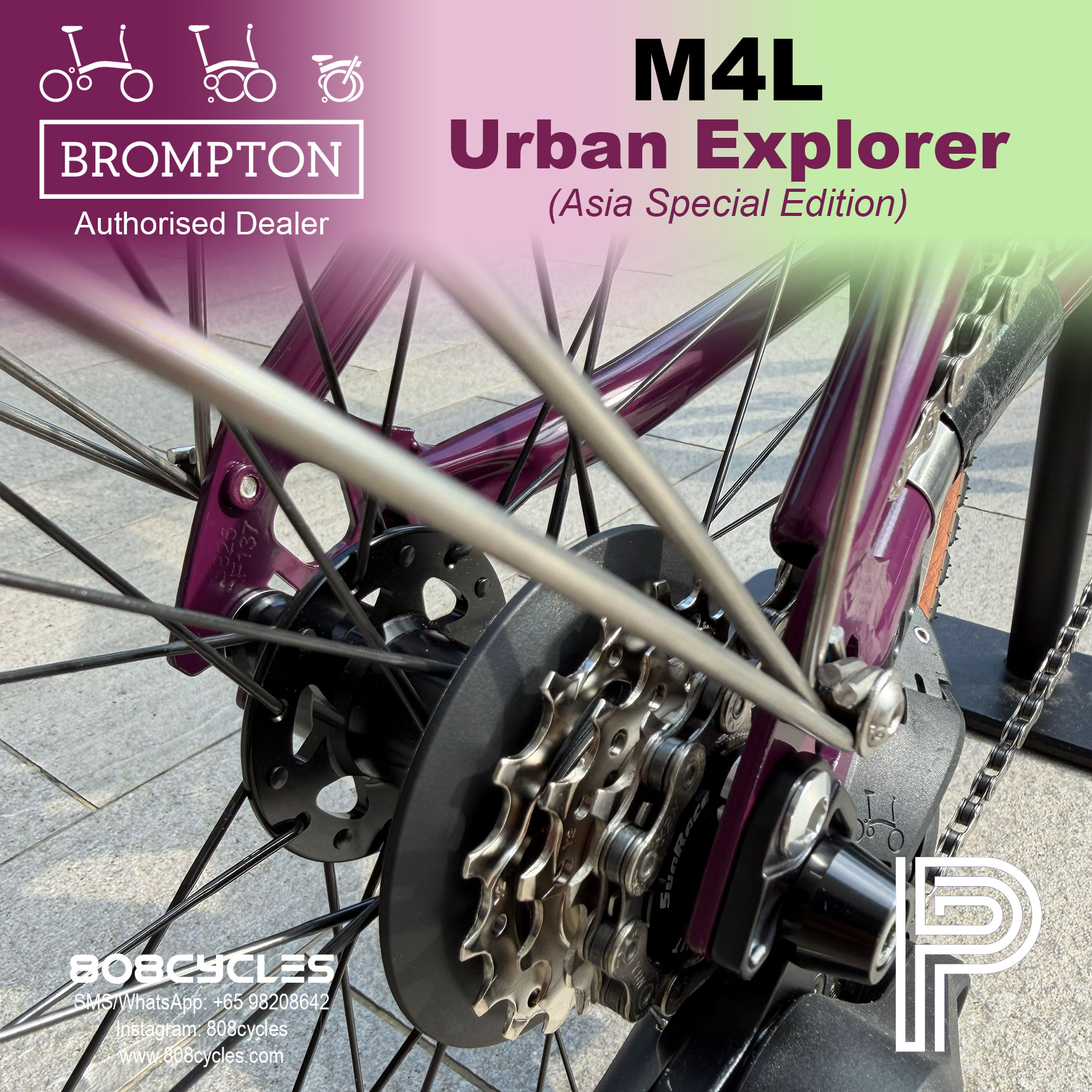 Brompton P Line Mk2 Urban Explorer M4L – Asia Special Edition - Image 12