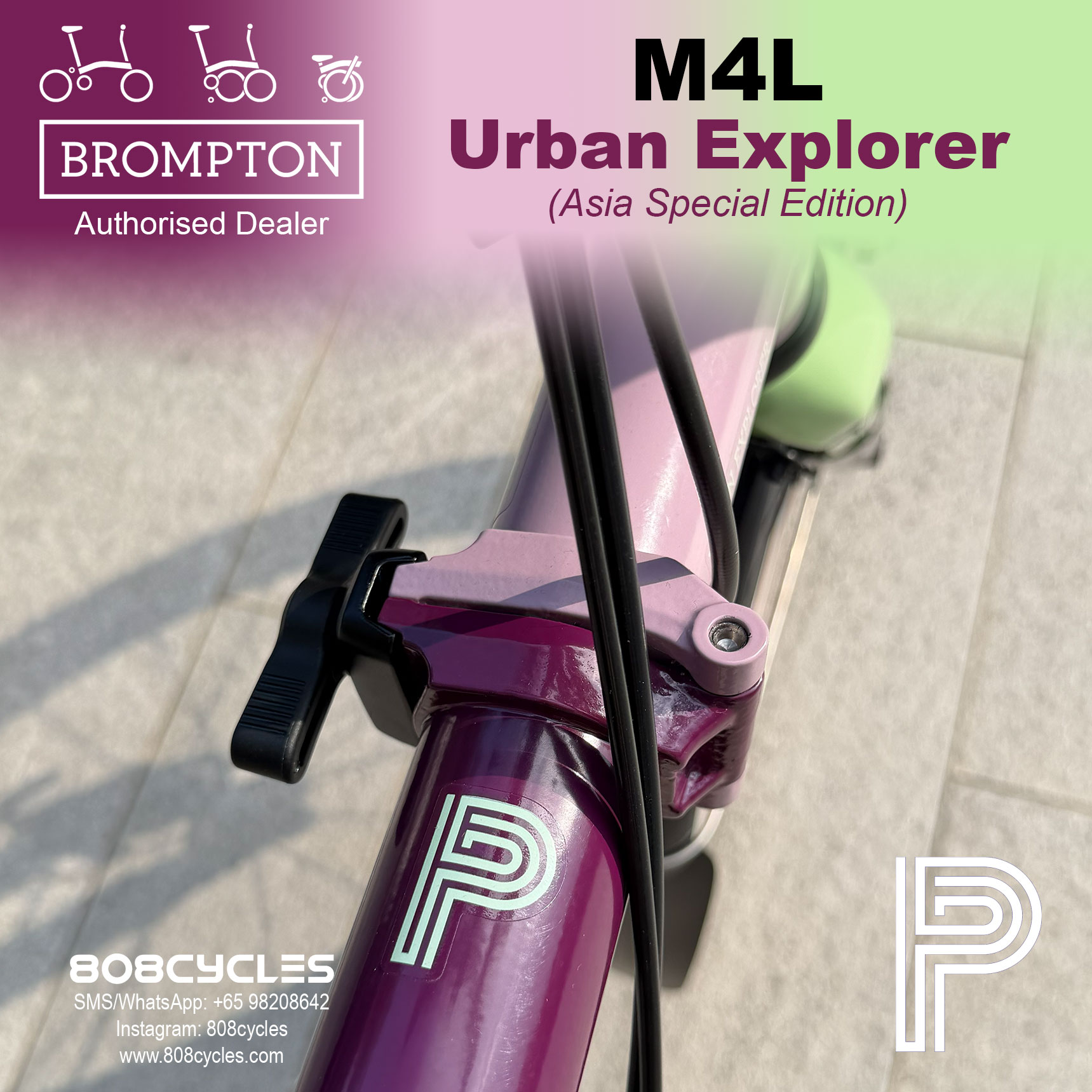 Brompton P Line Mk2 Urban Explorer M4L – Asia Special Edition - Image 15