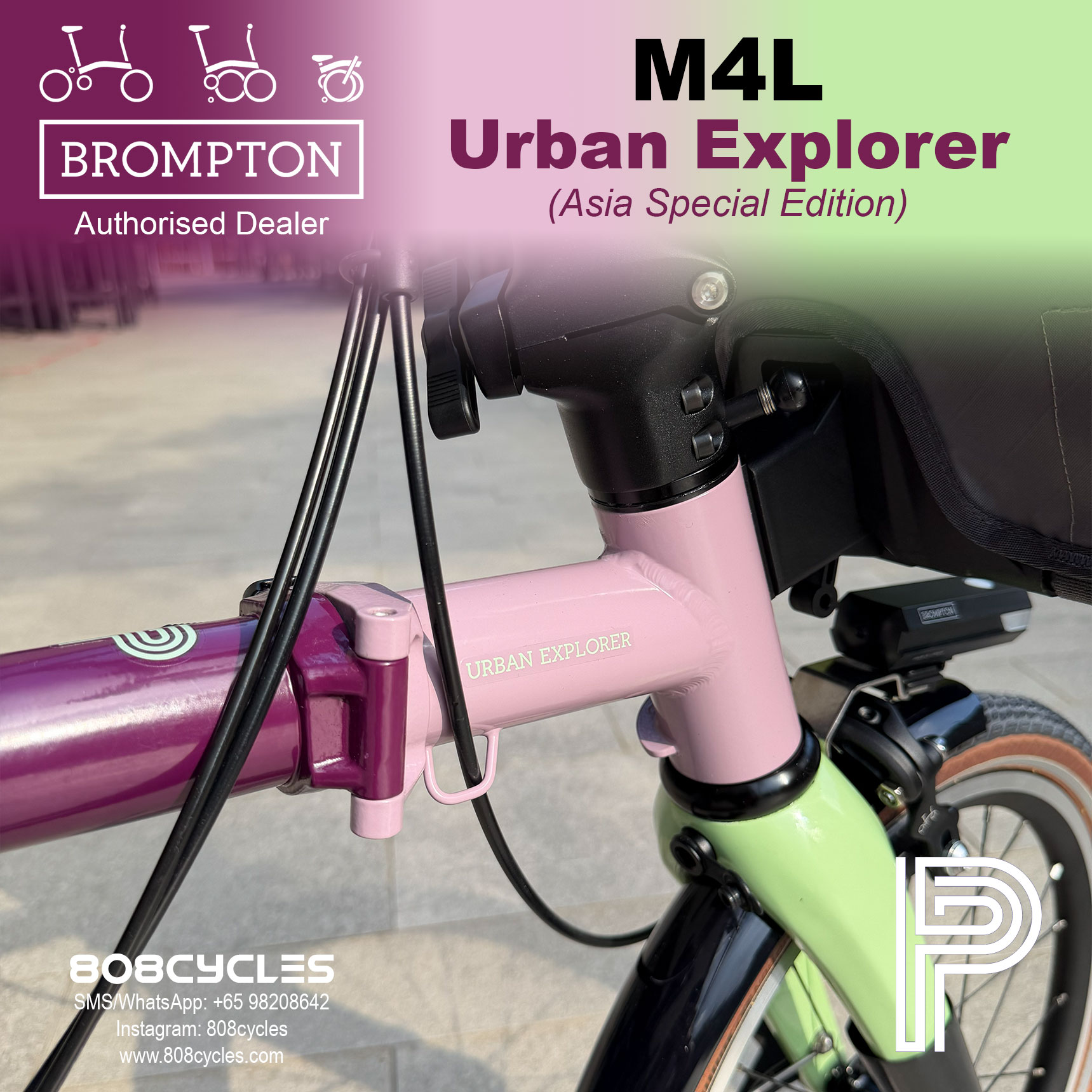 Brompton P Line Mk2 Urban Explorer M4L – Asia Special Edition - Image 16
