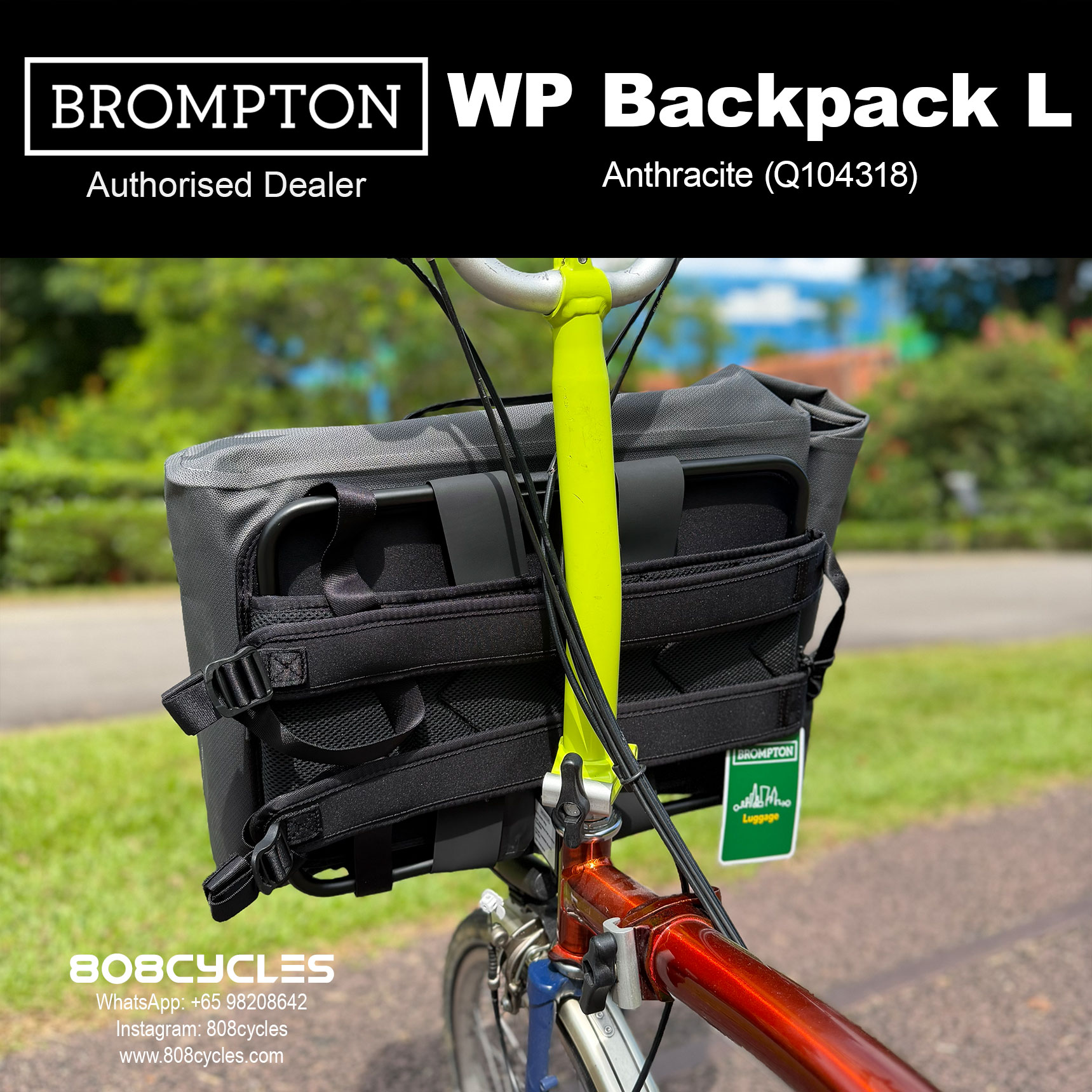 Brompton WP Backpack L 22L – Copper, Cobalt or Anthracite - Image 14